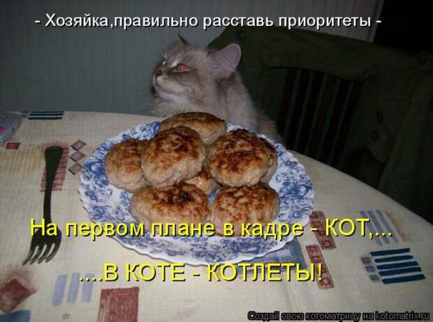 День котлет 28 августа