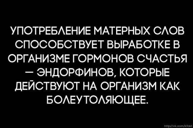 Картинки, юмор, приколы