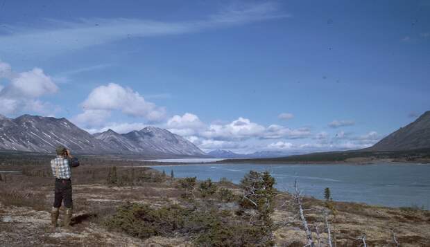 Фильмы, снятые Диком Пренеке в дикой природе Аляски. Фото