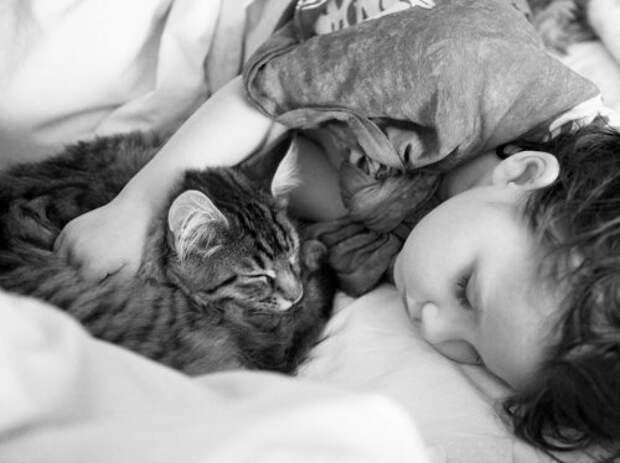 Задушевная дружба 5-летней девочки, страдающей аутизмом, и её терапевтической кошки (23 фото)