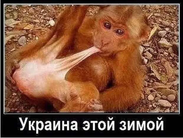 Станет ли Зеленский последним президентом Украины