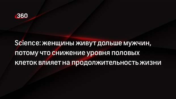 Science: женщины живут дольше мужчин, потому что снижение уровня половых клеток влияет на продолжительность жизни