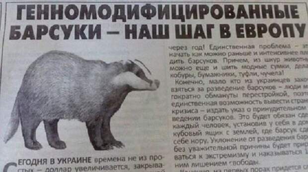 Незабываемые заголовки «бульварной прессы» (20 фото)