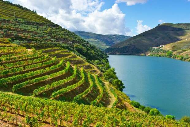 Алту-Дору - виноградное сердце Португалии