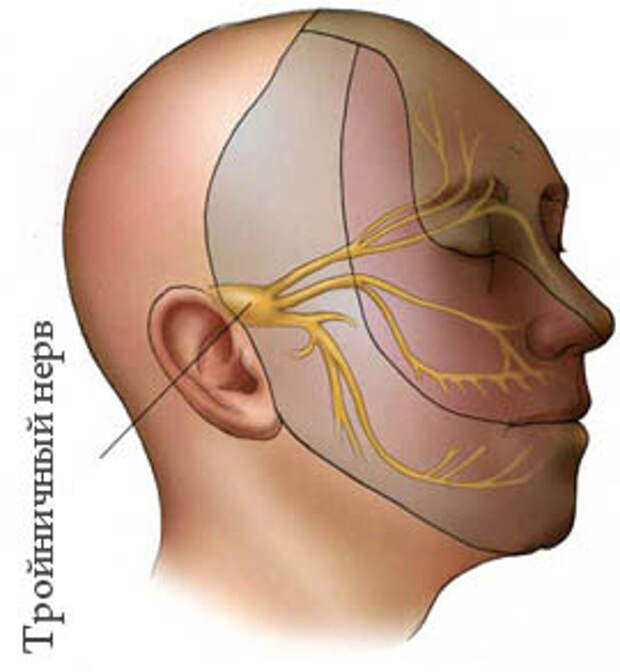 тройничный нерв