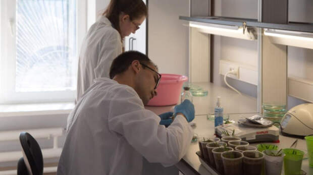 8 февраля — День российской науки