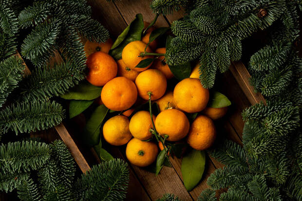 Диетолог Денисенко: одними из самых полезных фруктов зимой являются цитрусовые