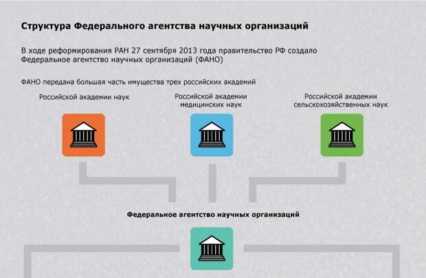 Структура Федерального агентства научных организаций