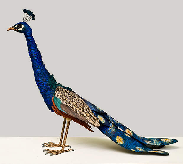 Kathy Boortz - Starry Night Peacock