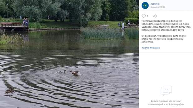 Фото дня: битва гладиаторов