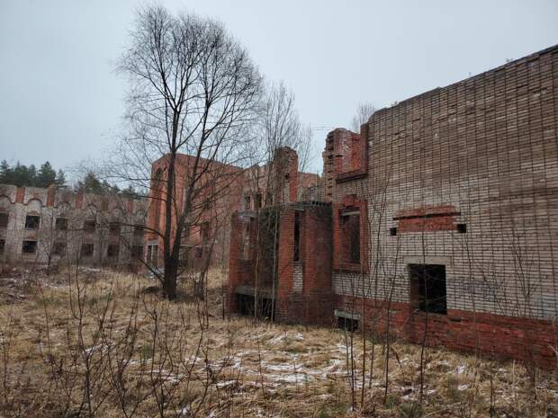 В Алексине за 82 млн рублей снесут недостроенный дом для пожилых и инвалидов