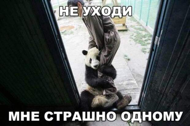 Новые фотомемы на Бугаге (22 шт)