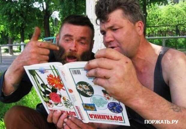 Фотоприколы (20 картинок)