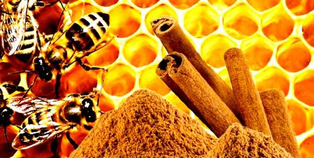 7 проблем лечим корицей и медом