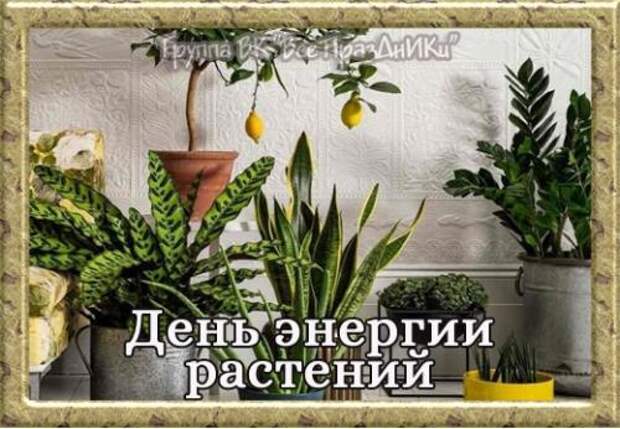 7 энергия дня. 7 энергия дня. 7 энергия дня. 7 энергия дня. С днём энергетика открытки.