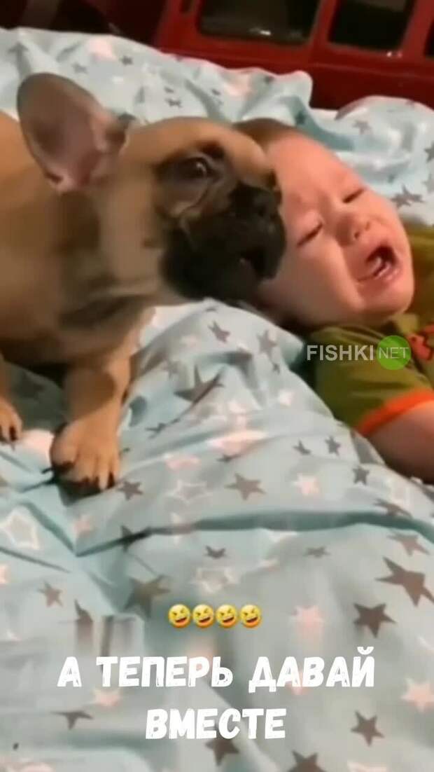 Друг всегда поддержит