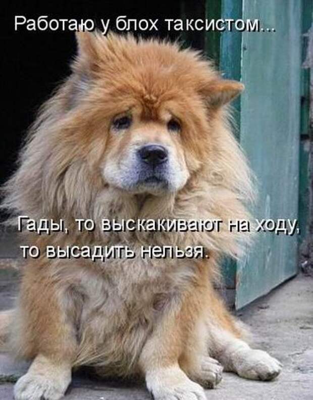 Мысли вслух :)