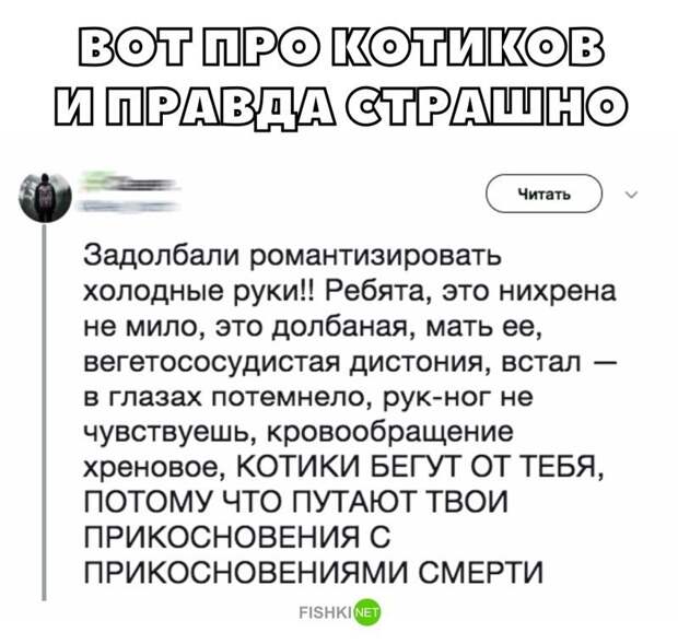 Картинки с надписями для настроения картинки с подписями, мэмы, подборка, позитив, юмор