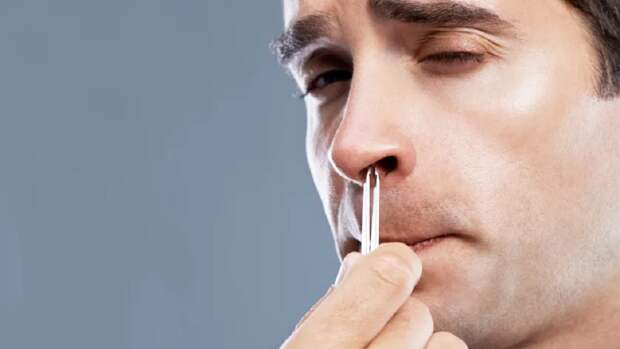 Врач рассказал, почему нельзя выдергивать волосы из носа