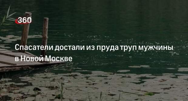 Источник «360»: в Новой Москве из пруда достали труп мужчины