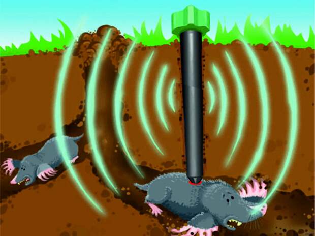 Как избавиться от кротов