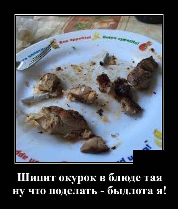 Демотиваторы (30 фото)