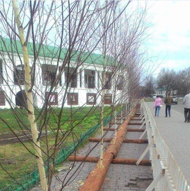 Наша Раша