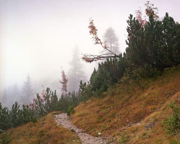 Фотопроект "Камуфляж" - найдите снайпера на фотографии Фотопроект "Камуфляж" - найдите снайпера на фотографии камуфляж, снайпер