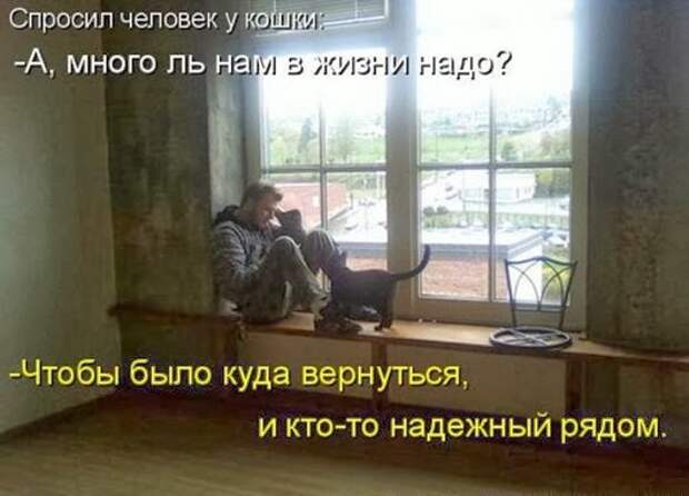9c5432f5d555530e6e3c9b6cb48_prev