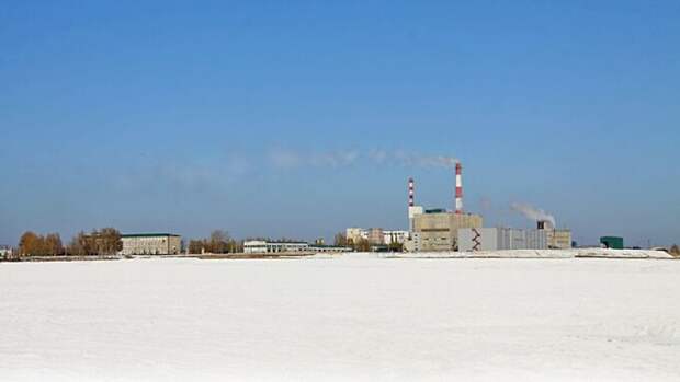 Фото: kuchuk.ru