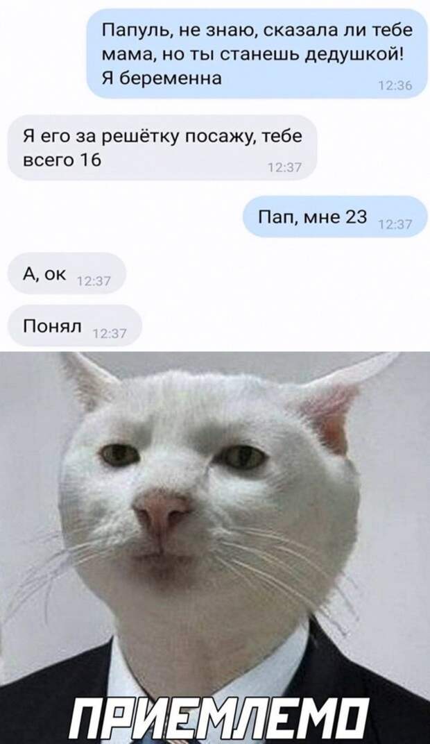 Смешные картинки вечер 28 января 2021