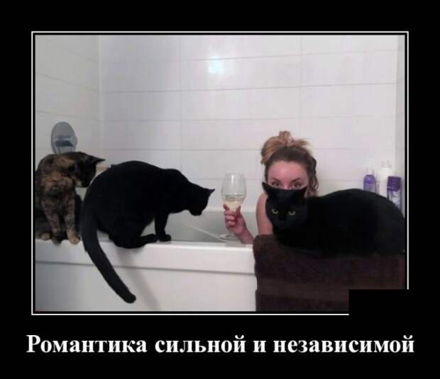 www.vsyako.net