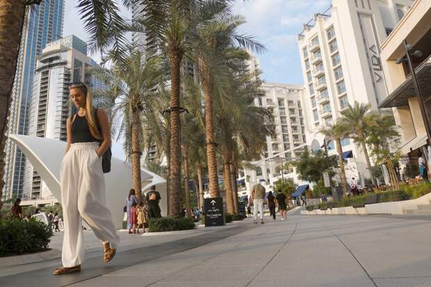 В Госдуме раскритиковали застрявших в Дубае россиян