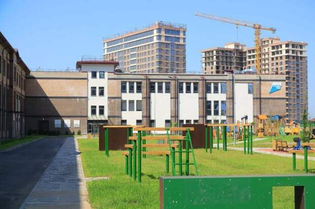 Важно, но почти невозможно! Школьный психолог 24/7: новая реальность для российских учеников