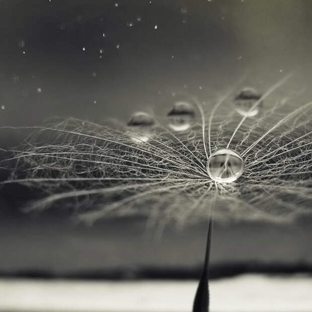 Фотография: Без фотошопа (часть 2) №22 - BigPicture.ru