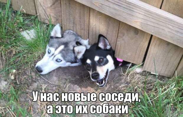 Фотографии с юмором и приколами Фотографии с юмором и приколами