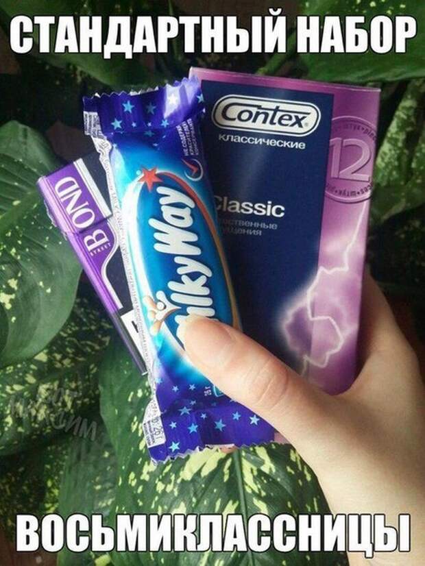 Прикольные картинки 24.08.17