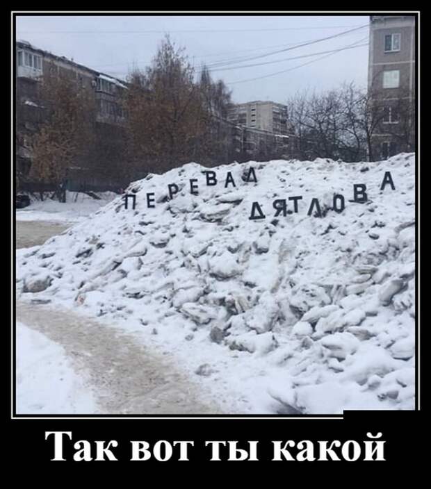 Демотиваторы (30 фото)