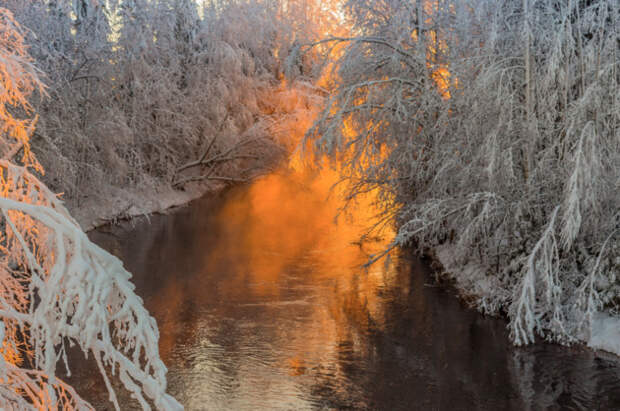 Морозное дыхание зимы (8 фото)
