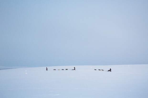 Жизнь в диких условиях, или любовь к Арктике арктика, жизнь