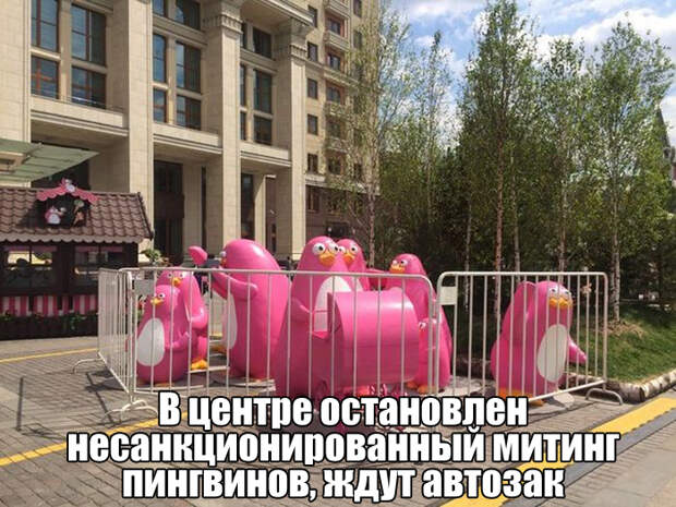 Прикольные картинки. Вечерний выпуск (61 фото)