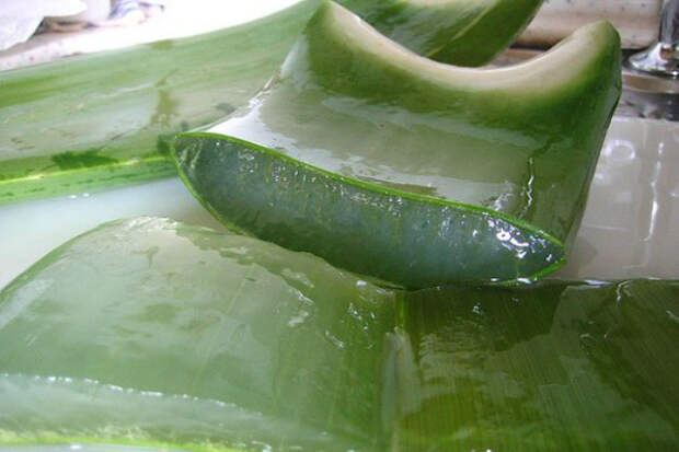 aloe-juice