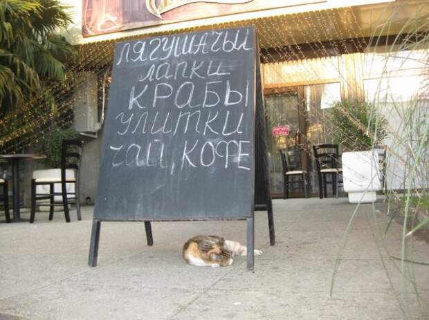 Миксприколы Миксприколы