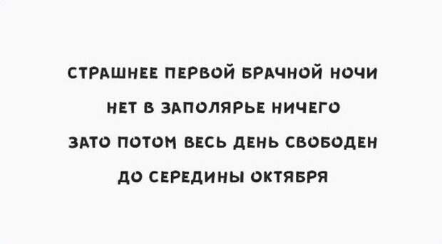 Анекдоты первый брачный ночь. Брачная ночь юмор. Юмор про первую брачную ночь. Страшнее первой брачной ночи нет в Заполярье ничего. Анекдот про первую брачную ночь.