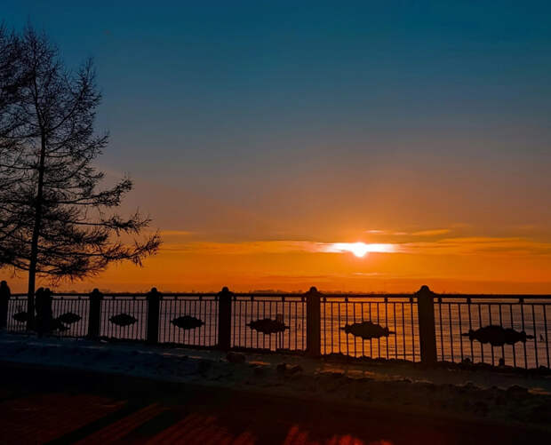 Ученые РАН озвучили прогноз магнитных бурь на 2026 год