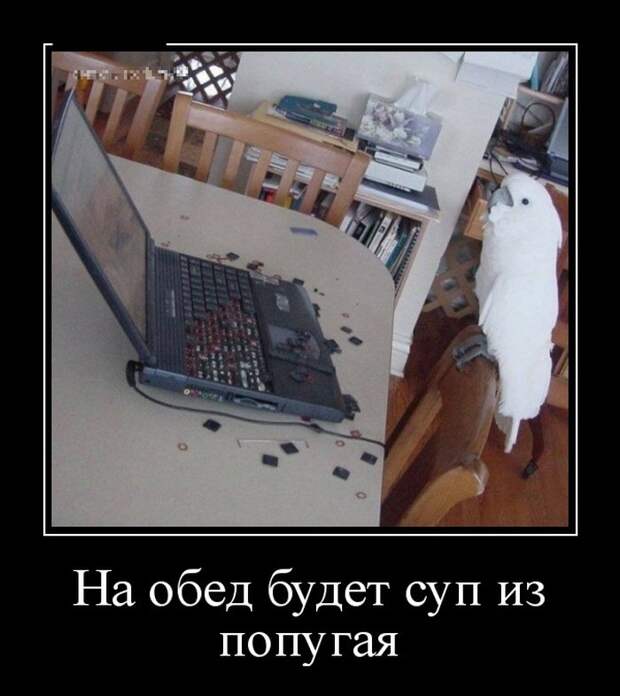 Демотиваторы на субботу (28 фото)