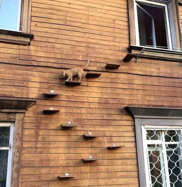 Дачники - народ предприимчивый, и приноровились не выбрасывать то, что буквально валяется под ногами. "Бросовым" материалам можно дать вторую жизнь. А тут уж у кого как фантазия разгуляется!-19