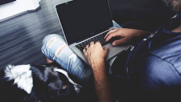 Уролог Страданко сообщил о риске бесплодия из-за работы с ноутбуком на коленях