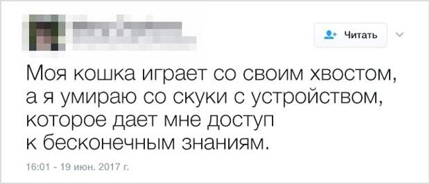 Самоирония в забавных твитах (18 скриншотов)