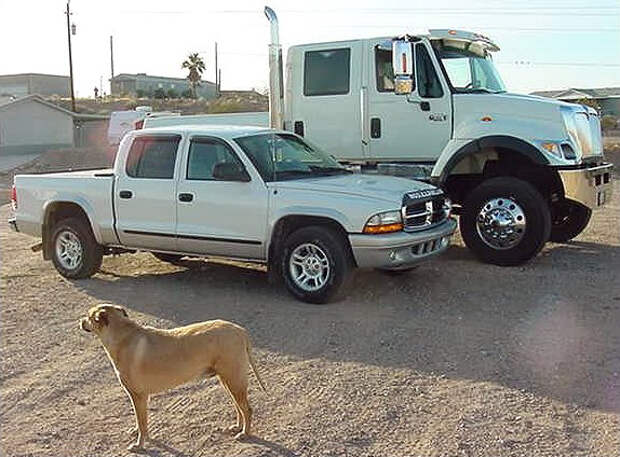 Navistar International CXT